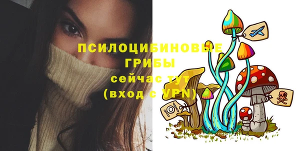 спайс Алексеевка