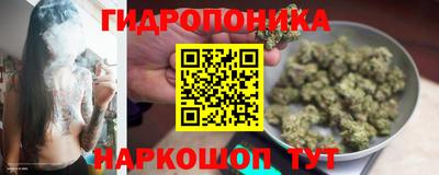 PSILOCYBIN Краснодар