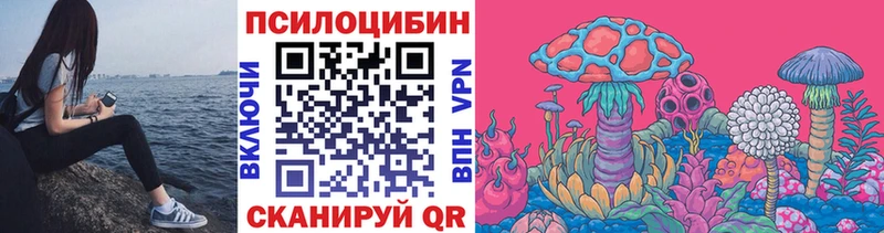 KRAKEN рабочий сайт  Заволжье  Галлюциногенные грибы Psilocybe  маркетплейс как зайти  как найти наркотики 