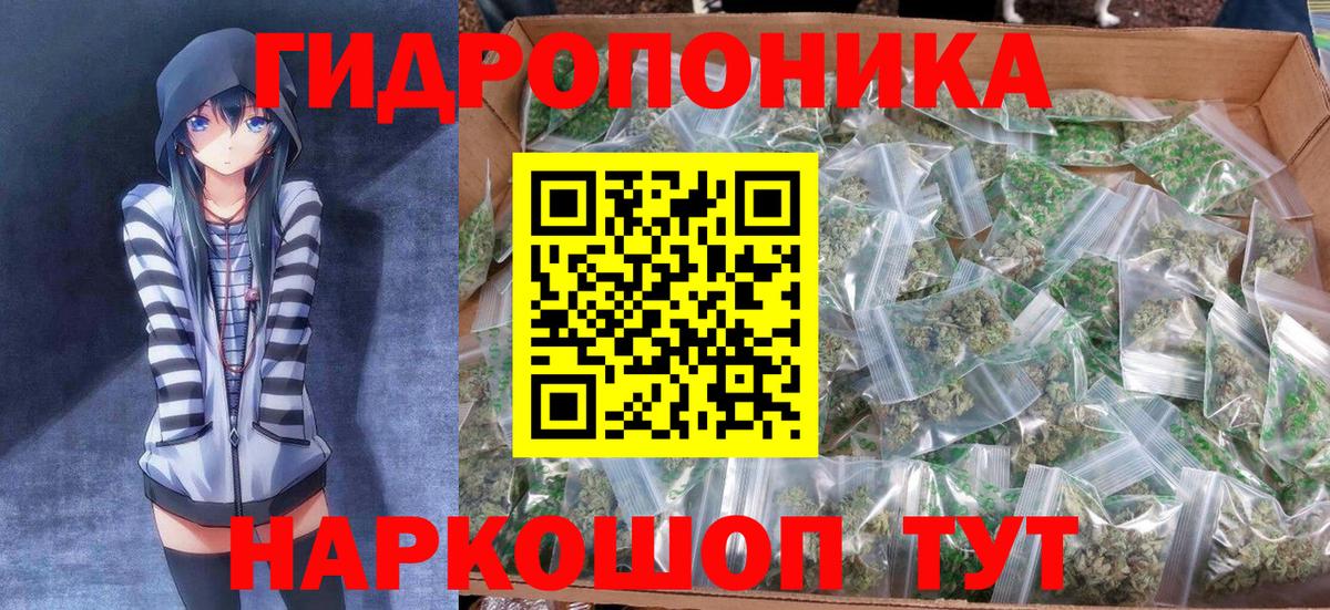 Бошки Шишки гибрид  Конопля планчик  Бошки марихуана LSD WEED  МАРИХУАНА AK-47  Заволжье  Вход с VPN 